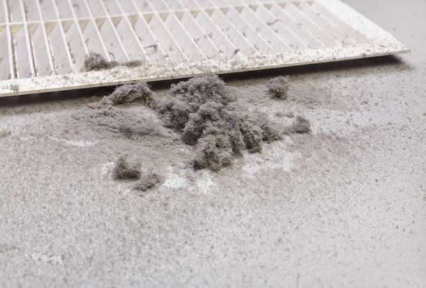 Best Professional Duct Cleaning Services  in Joseph, OR