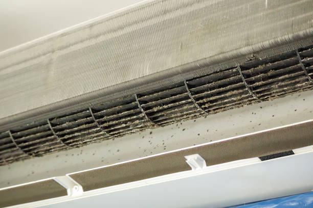 Best Air Duct Cleaning Near Me  in Joseph, OR